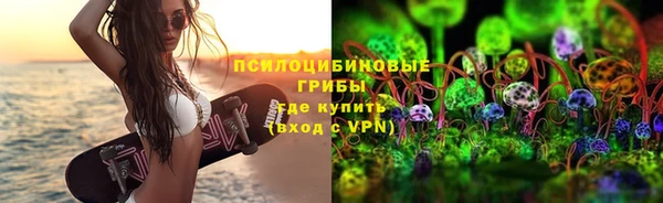 ECSTASY Алзамай