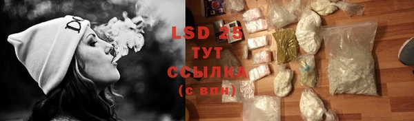 ГАЛЛЮЦИНОГЕННЫЕ ГРИБЫ Алексин