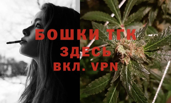 спайс Арсеньев