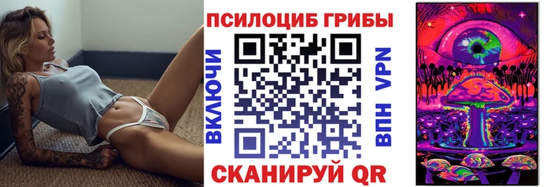 Псилоцибиновые грибы Cubensis Белорецк