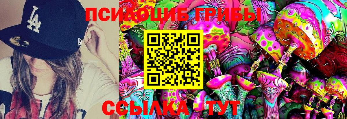 Галлюциногенные грибы Psilocybe Белорецк