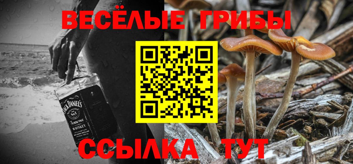 Псилоцибиновые грибы Magic Shrooms  Псилоцибиновые грибы ЛСД  закладки  Вход с VPN  Белорецк 